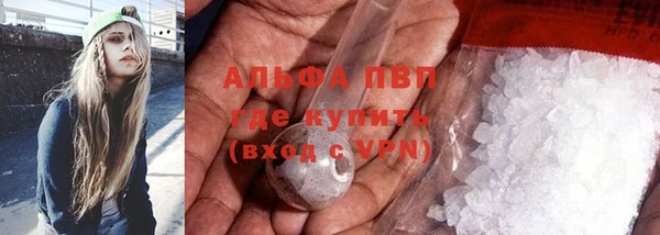 прущие крисы Белокуриха