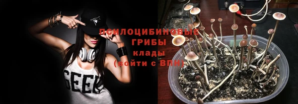 прущие крисы Белокуриха