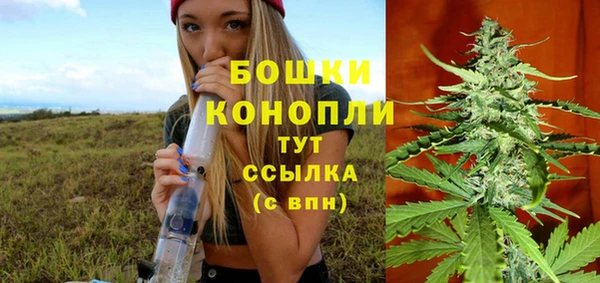 прущие крисы Белокуриха